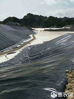 防滲膜批發(fā)指南 土工膜與復合土工膜價格優(yōu)勢分析