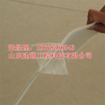 山東建通兩布一膜復合土工膜 汕頭地區價格、廠家與產品解析